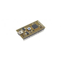 Module microcontrôlé mbed LPC11U24 (Cortex-M0) format DIP 40 broches
