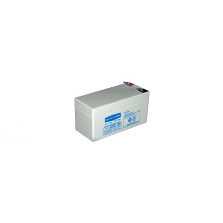 Batterie au plomb 12 V / 1,3 Ah  - 1