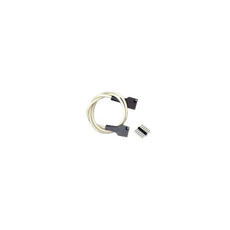 Cordon Pmod 6 Pin Cable Connector 18" - 1